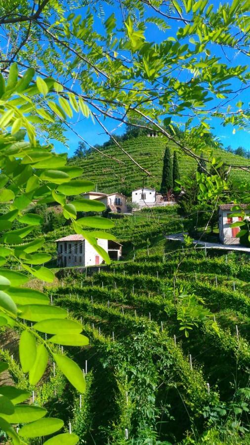 Seven Suites Pieve Pieve di Soligo Luaran gambar