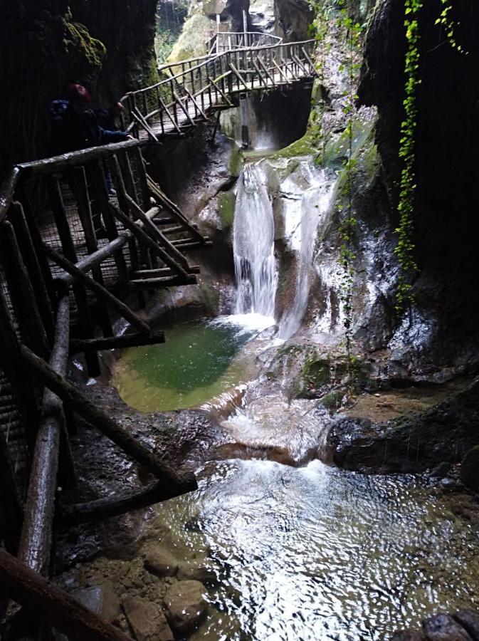 Seven Suites Pieve Pieve di Soligo Luaran gambar