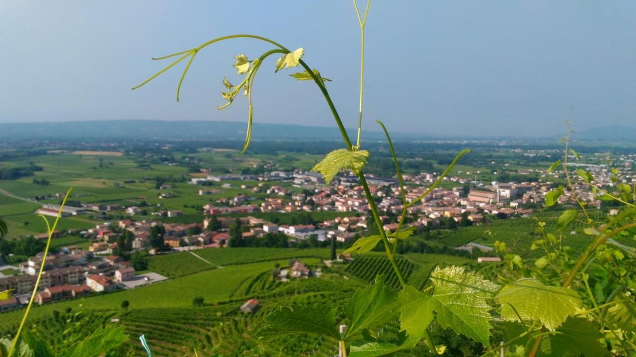 Seven Suites Pieve Pieve di Soligo Luaran gambar